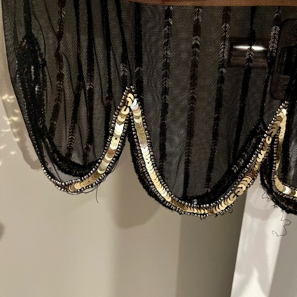 Flapper Costume - Picture 10 of 12